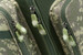 Wielofunkcyjny plecak Mivardi CamoCODE Cube