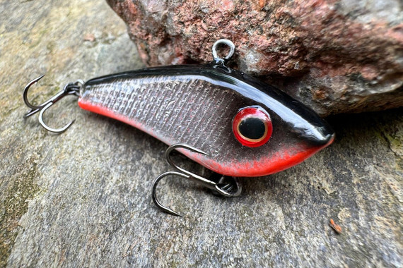 Cykada Great Fish Neon Cicada