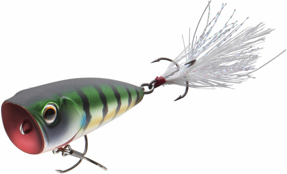 Wobler Daiwa Steez Popper