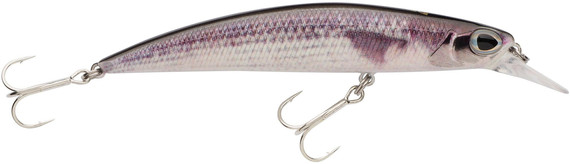 Wobler Berkley Dex Bullet Jerk