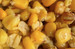 Kukurydza Mivardi Corn